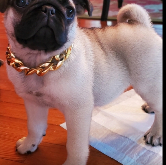 🎉HP🎉Y2K Hip hop Fashion Chain Dog Collar - Picture 4 of 11